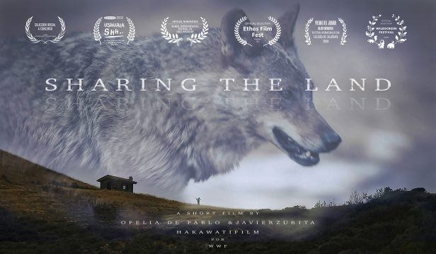 Sharing the Land Film by Hakawatifilm, directed by Ofelia de Pablo and Javier Zurita