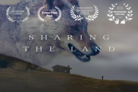 Sharing the Land cuadrado